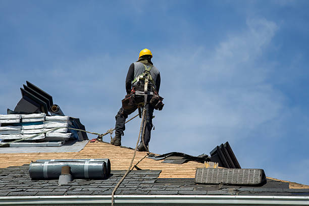 Professional Storm Damage Roof Repair technician working in Saint Paris, OH